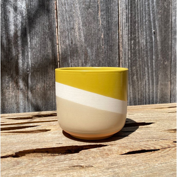 Daffodil Triple Dip Planter