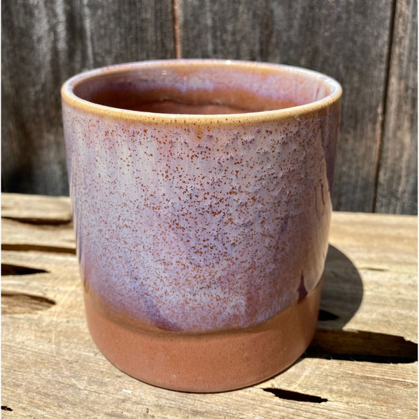 Desert Rose Cylinder Planter