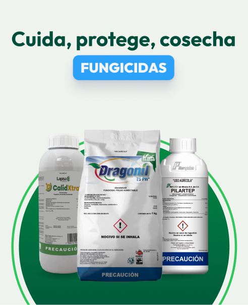 Fungicida