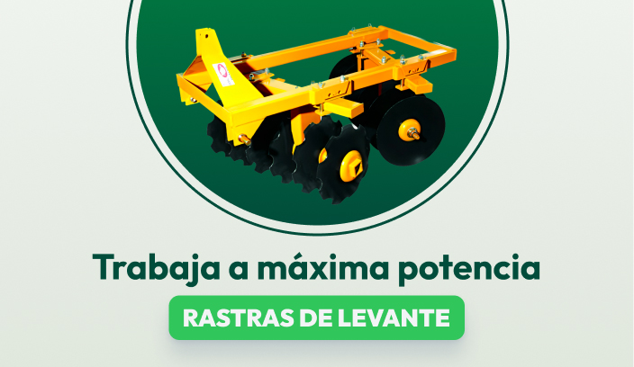 Rastra