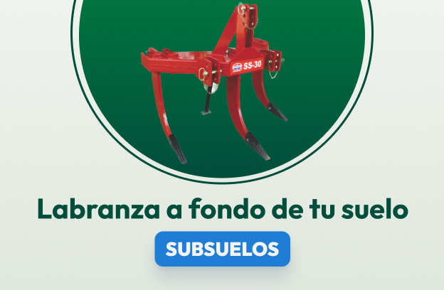 Subsuelos