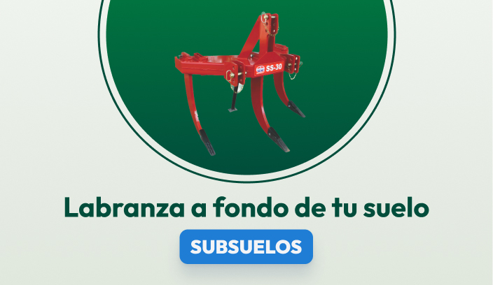 Subsuelos