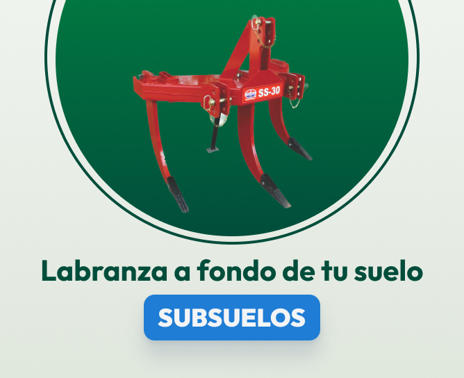 Subsuelos