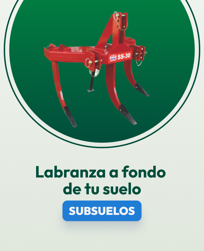 Subsuelos