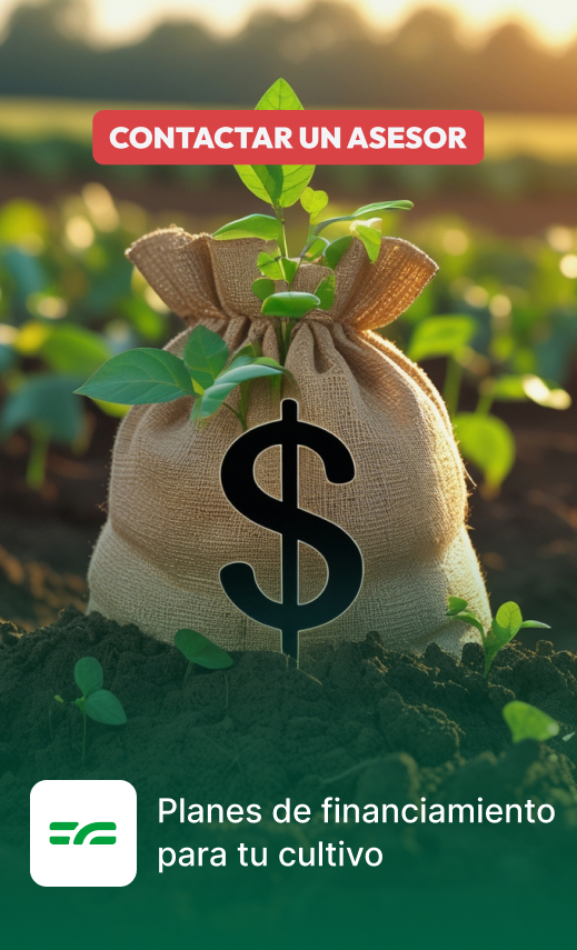 Financiamiento