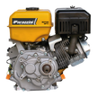 Motor Parazzini 7Hp 4T Con Reductor