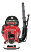 Soplador PRO 77cc