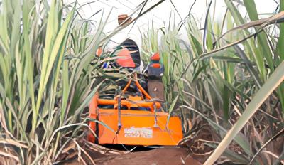 Rotovator serie mini 0.80 m
