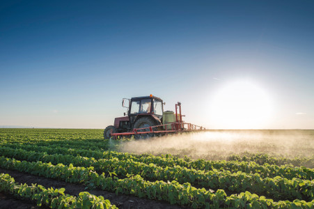 Diferencias entre Insecticidas Químicos, Orgánicos y Biológicos