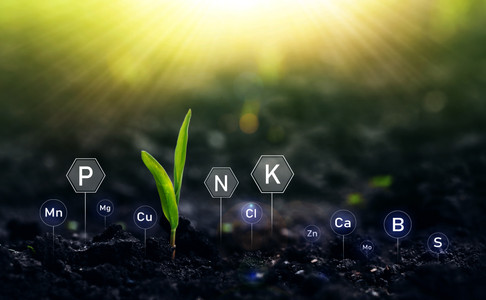 Macronutrientes esenciales para las plantas: Nitrógeno, Fósforo y Potasio