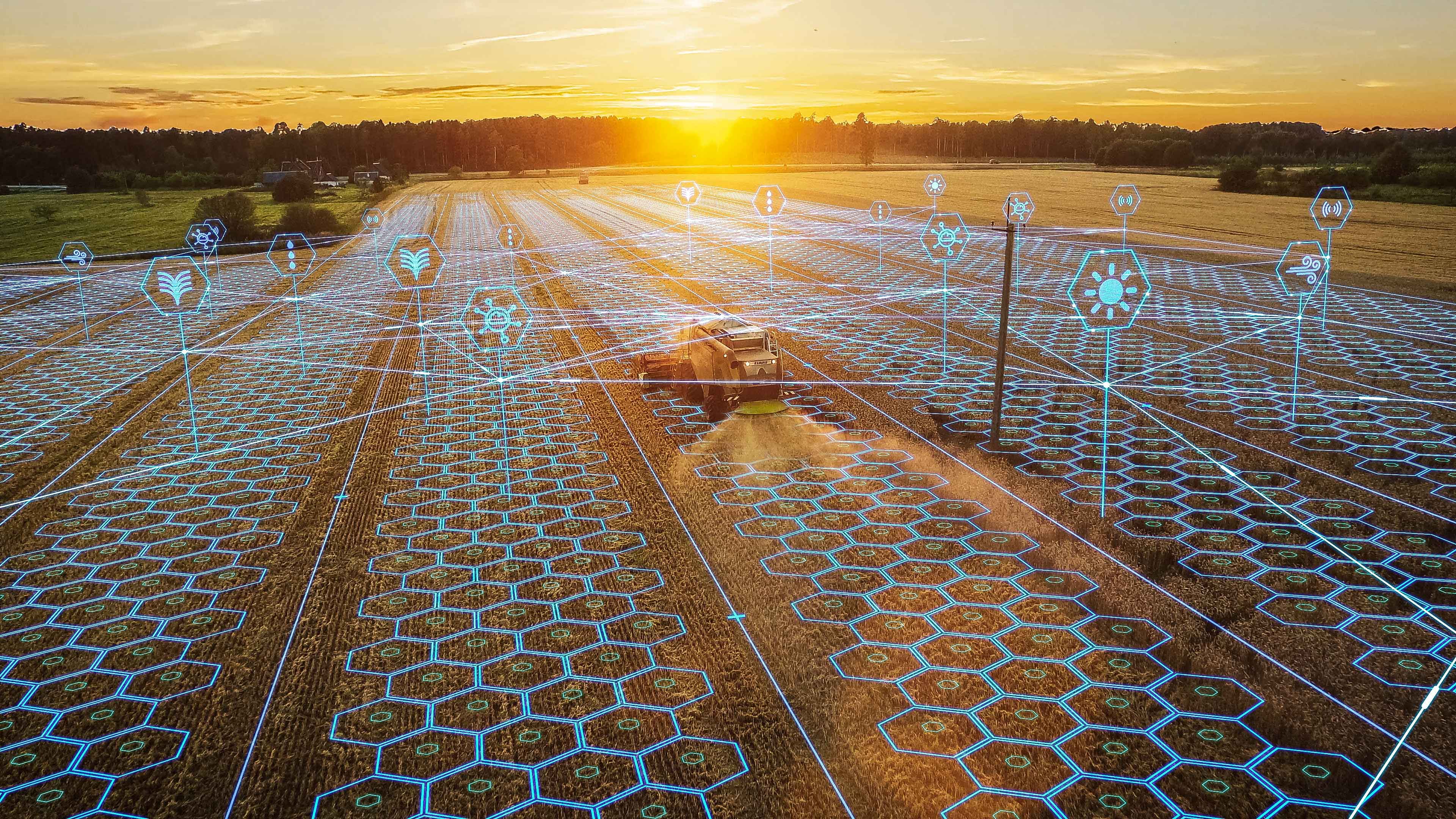 Agricultura 4.0: Lograr producir más con menos incorporando tecnología