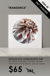 ITEM 50- SIGNED / UNFRAMED 'TRANSIENCE'