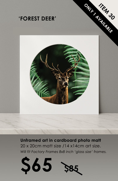 ITEM 30- SIGNED / UNFRAMED 'FOREST DEER'