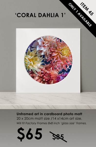 ITEM 45- SIGNED / UNFRAMED 'CORAL DAHLIA 1'
