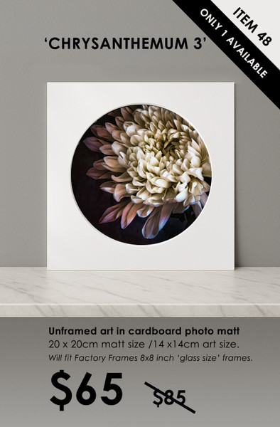 ITEM 48- SIGNED / UNFRAMED 'CHRYSANTHEMUM 3'