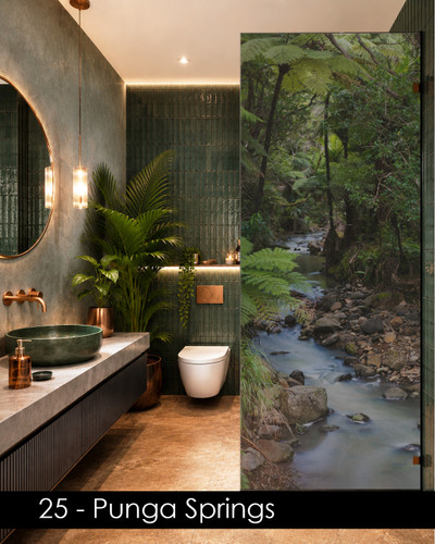 25 - Punga Springs shower glass privacy film