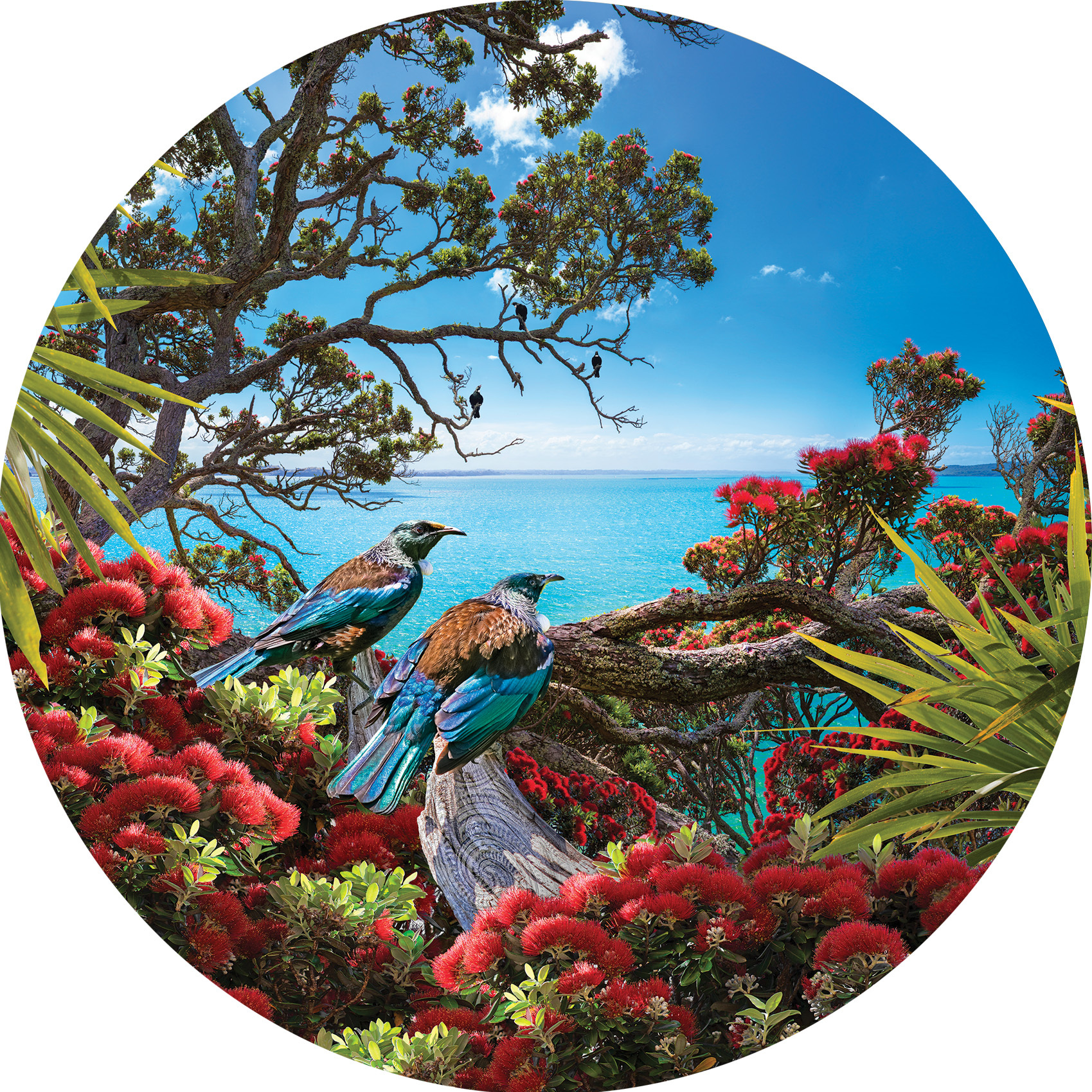 Circular Art