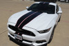 2015-17 Mustang 6G Full Length Vinyl Stripes