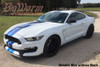 Vinyl Dual Full Length Stripes that fits 2015-2020 GT350 Mustang