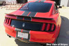 2015-2020 GT350 Mustang Vinyl Dual Full Length Stripes