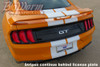 2018-23 Mustang Wide Dual Full Length Vinyl Stripes