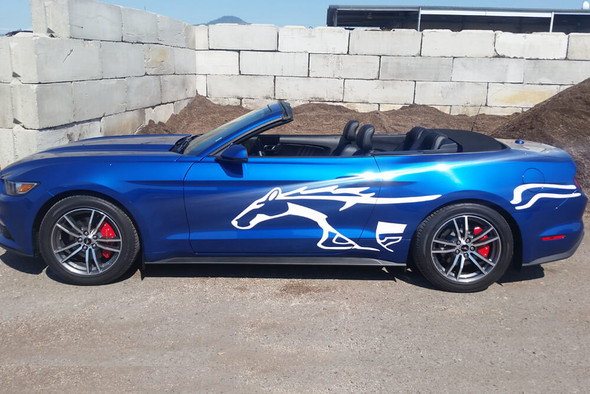 2015-21 Mustang Stallion Vinyl Stripes