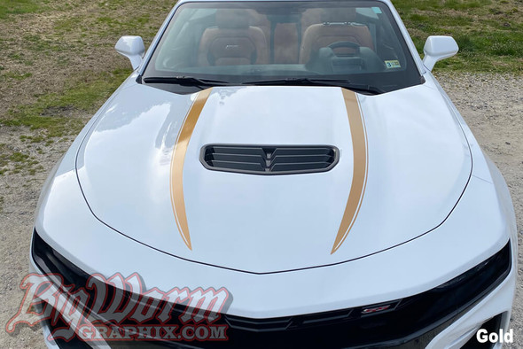 Hood Spears for 2019-21 Camaro 