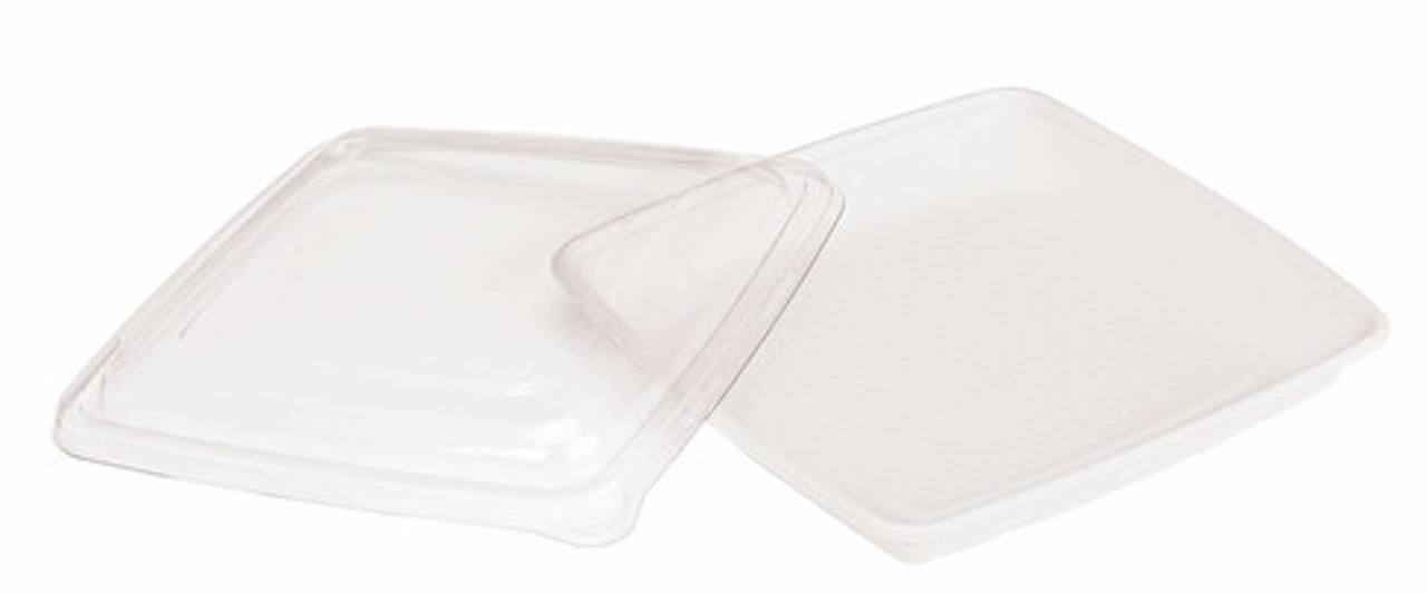 210APOUP1000 - Square Sugarcane Plate 9.25 x 9.25 x 1.1 - 25 pcs