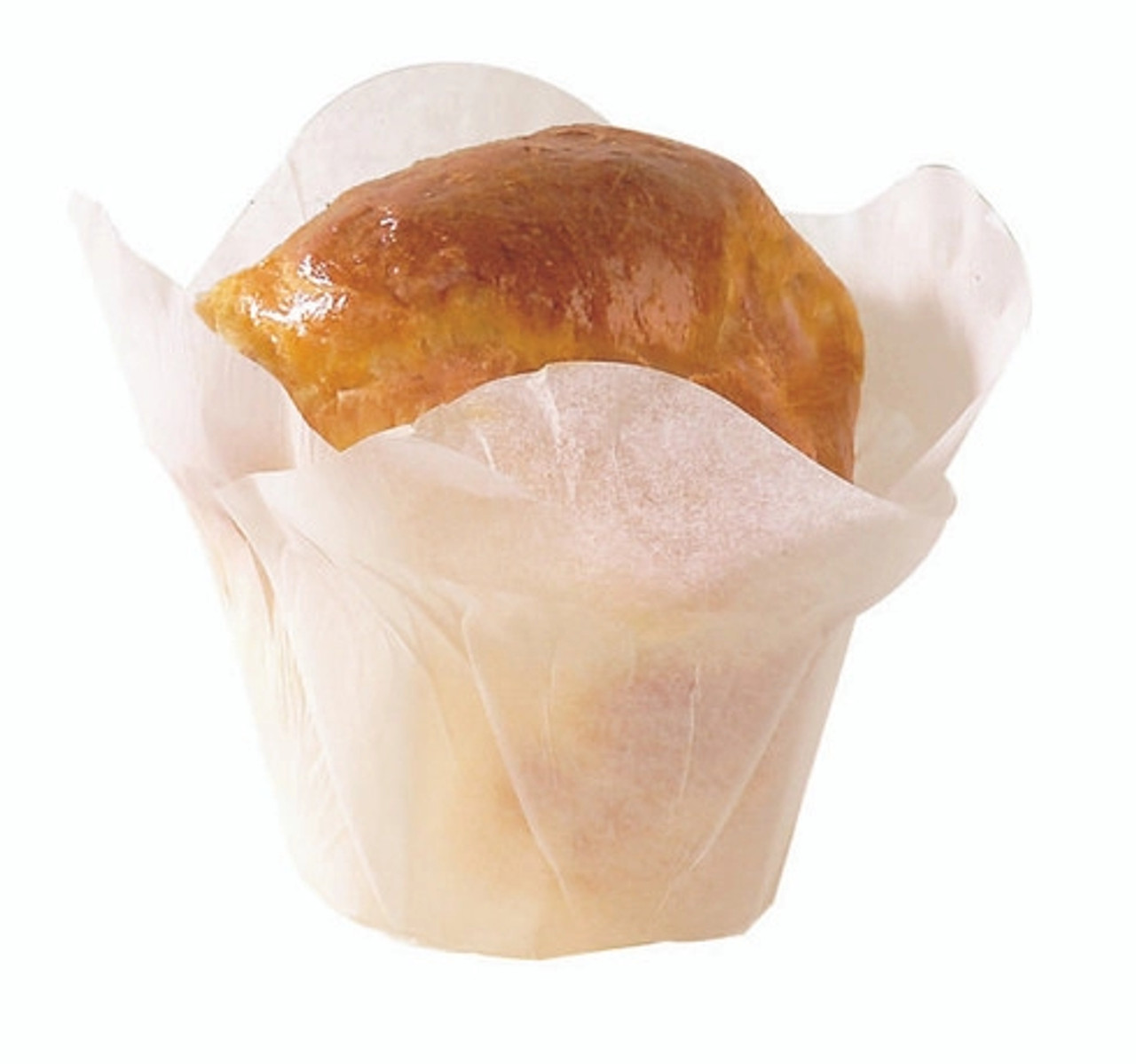 Sample of 209CPSL2B 4oz D:2in - 1 pcs