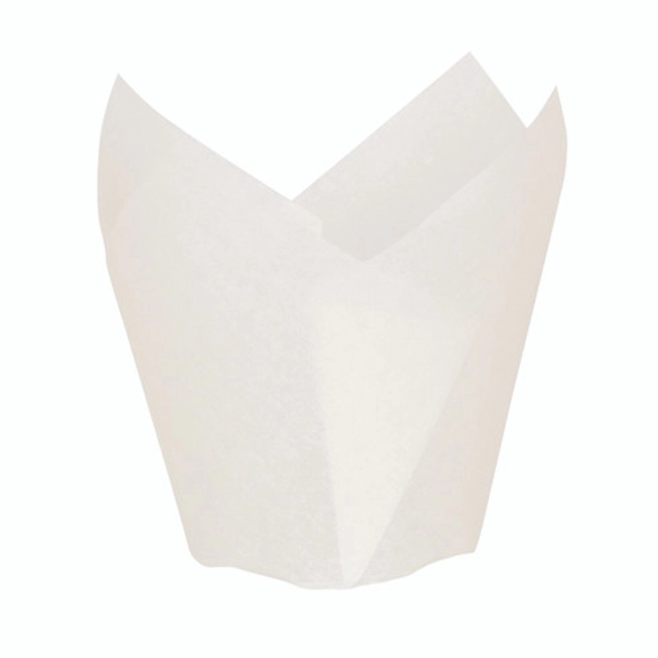 Sample of 209CPST1B 1.25oz D:1.2in - 1 pcs