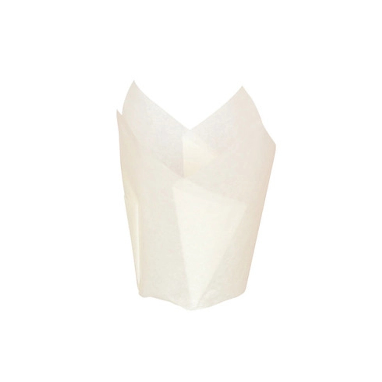 Sample of 209CPST3B 3oz D:1.8in - 1 pcs