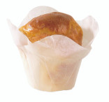 Sample of 209CPSL2B 4oz D:2in - 1 pcs