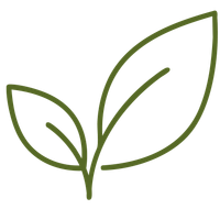 PLA