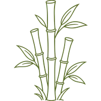 Bamboo