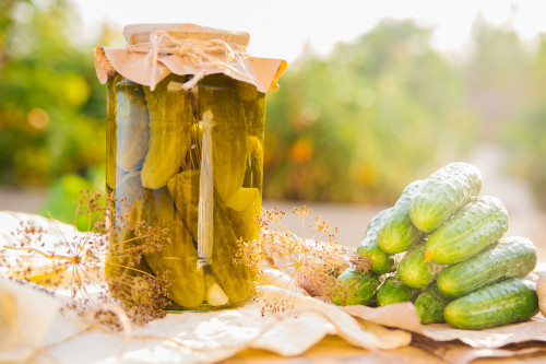 https://cdn11.bigcommerce.com/s-uivlp2/images/stencil/500x659/products/7020/149907/salted-pickled-cucumbers-jar-wooden-table-garden-cucumbers-herbs-dill-garlic-preservation-conservation-background-copy-space-sunny-bright-day__44863.1684261645.jpg?c=2