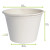 White Mini Sugarcane Cup 4.7oz D:2.9in - 50 pcs