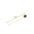 Pine Cone Skewer L:3.5in - 100 pcs