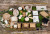 Sample of 210APU1326BR 10 x 5in - 1 pcs Sample of 210APU1326BR 10 x 5in - 1 pcs