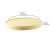 Sample of 210LSOUP185BP D:5.9in H:0.63in -  pcs Sample of 210LSOUP185BP D:5.9in H:0.63in -  pcs