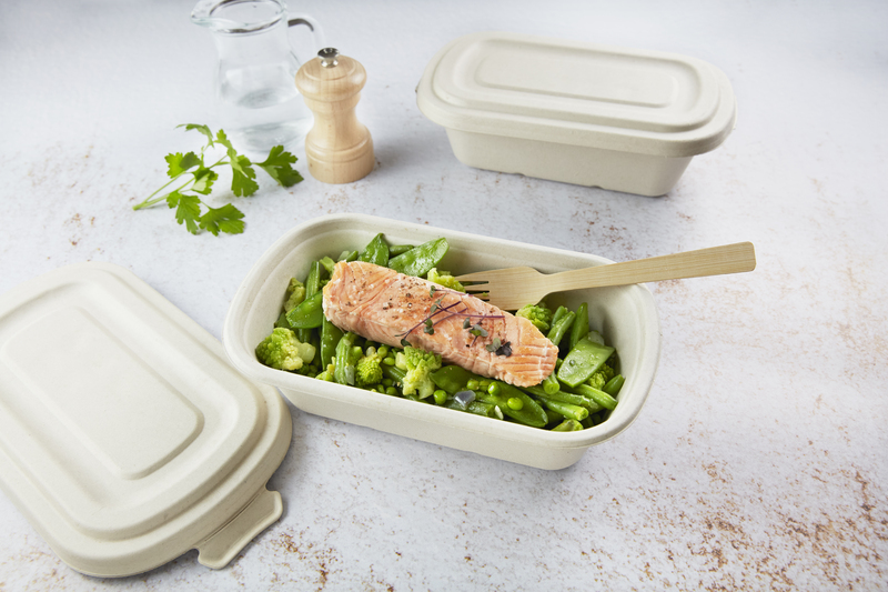 Take Out - Disposable Lunch Sets - BioandChic