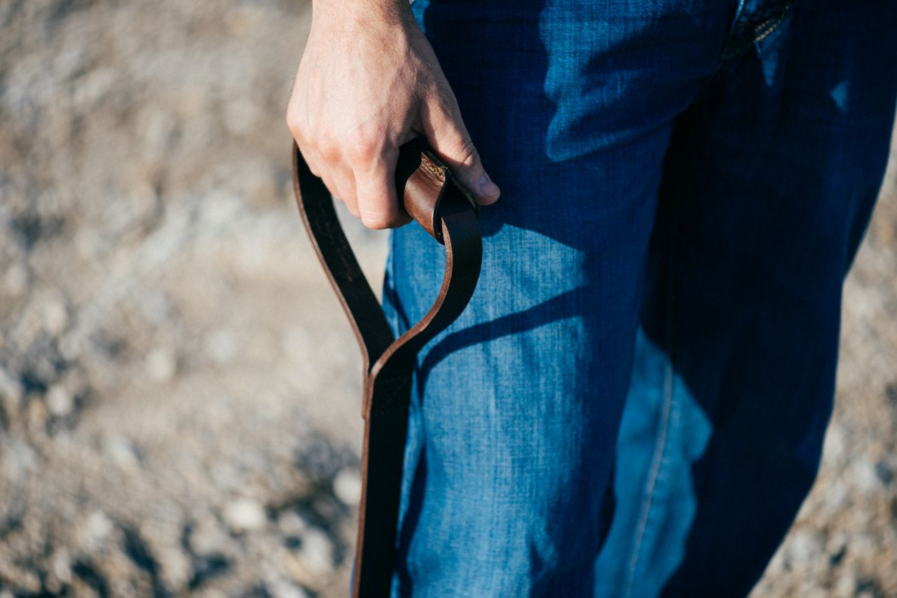 saddleback leather dog collar