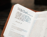 This is the inside view of the pocket declartion/constituion