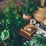 High quality this leather catchall valet tray can hold a lot. Especially this tan brown one in the bushes.