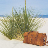 High quality tan brown leather duffle bag in white sand next to a yucca.