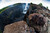 High quality dark brown full grain leather briefcase at Victoria Falls in Africa during dry season.
