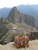 This is a brown full grain leather briefcase at Machu Picchu.
