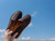 Lifestyle image of the barefoot slip on shoe