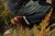 High-quality dark brown boots showing on a model
