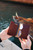 High quality open lifestyle image of the passport leather sleeve in reddish brown