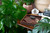 High quality lifestyle image our new valet tray redesinged in the color dark brown